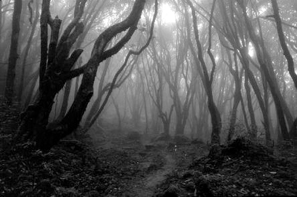 spells-of-life:  The “Blair Witch” Woods – made famous in the 1999 film The