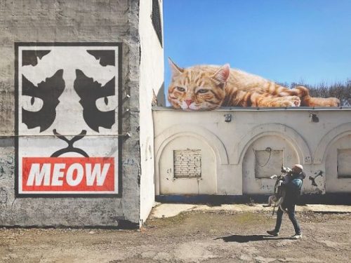 recommend:  Guy creates images that show how earth would look if cats were much bigger (x)