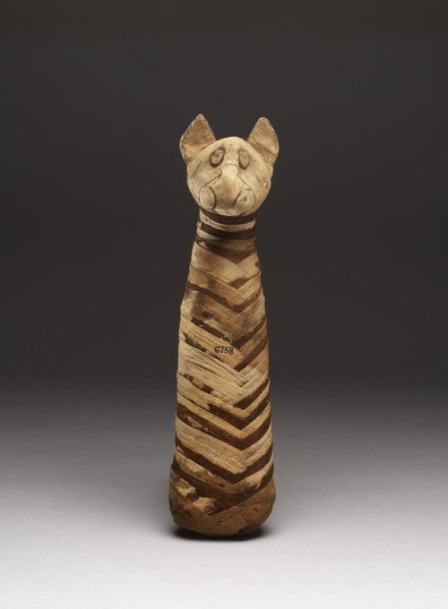  Cat mummy (Roman period, after 30 BC) with narrow linen bandages woven into as herringbone pattern.