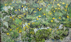 dappledwithshadow:  Dandelions, Vincent van Gogh 1889 