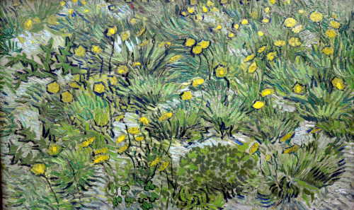 dappledwithshadow:Dandelions, Vincent van Gogh1889