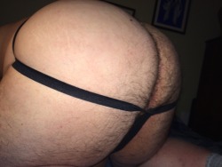 bears4us:  Hairy bottom bear