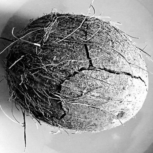  . , ... #coco #crack #chap #fissure