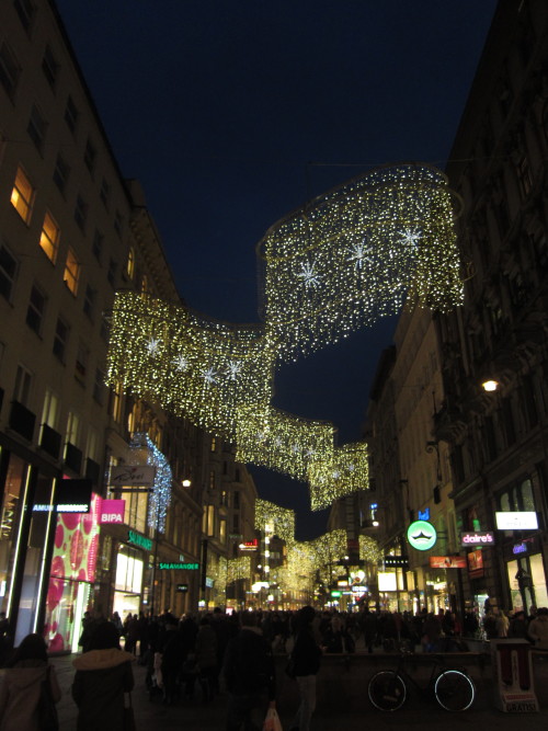 lechner13:  Weihnachten in Wien  -  Christmas in Vienna    Austria Teil 1 by http://lechner13.tumblr.com/ 