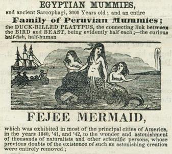 P.T. Barnum advertisement for the “Feejee Mermaid”