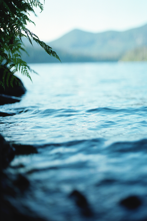 kushandwizdom:  Words of Emotion 