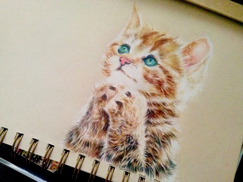 colored pencils