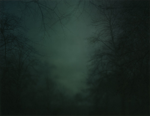 arpeggia:  Nicholas Hughes - In Darkness Visible Verse I, 2005-2007 Artist’s statement: “In reaction to media led sensory anaesthetisation, and wearied by empty political rhetoric, my aim was to construct a forest built from accumulated memory