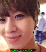 violraptaer:  A minute of our precious SHINee in their natural habitat  