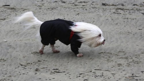 givemeinternet:  It’s pretty windy in the UK right now