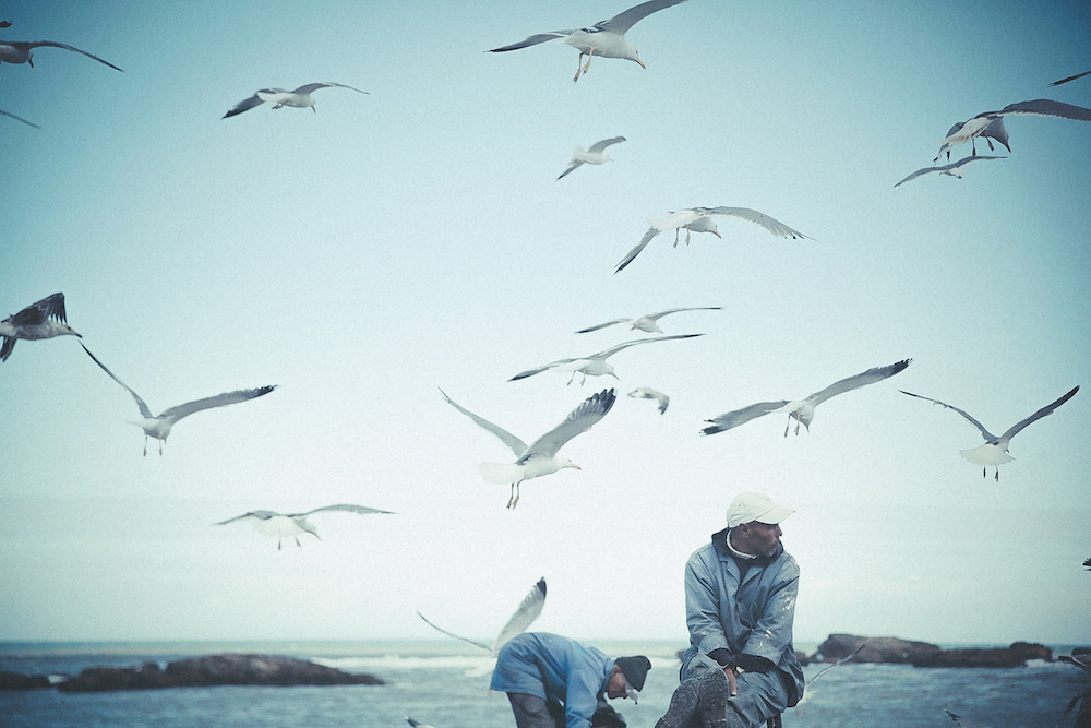 Eddy Duluc Photography