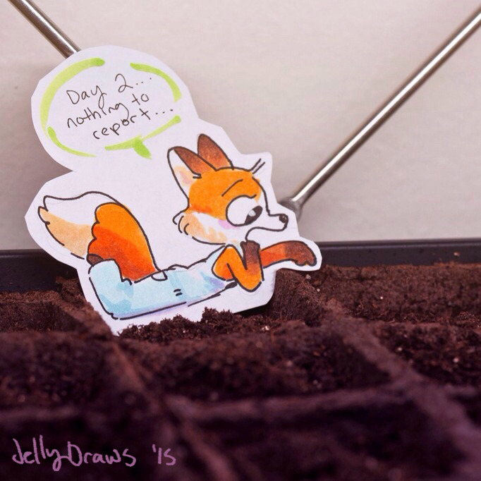 itscarororo:  jellydraws:  I started some seeds, and this little fox has been hanging