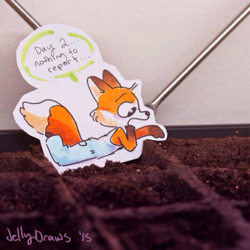 XXX jellydraws:  I started some seeds, and this photo