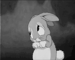 https://64.media.tumblr.com/8ce4b5ca5e7705b0b848577f60db779b/tumblr_mvr1qpgL0L1sf052io1_500.gif