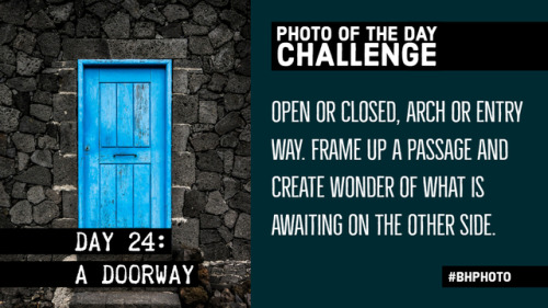  31 Day Photo Challenge, Week 4