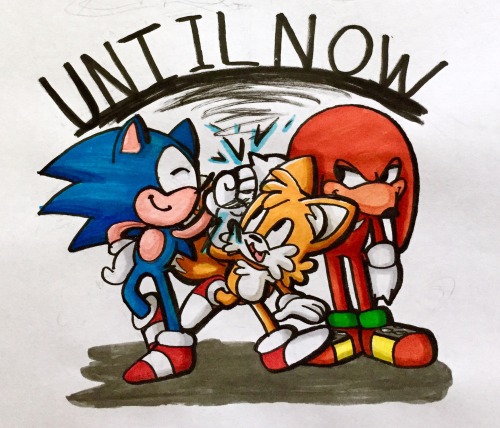notnights:  Team Sonic fam! 