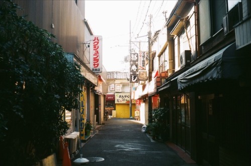 yasu19-67: FUJICOLOR 100／One morning