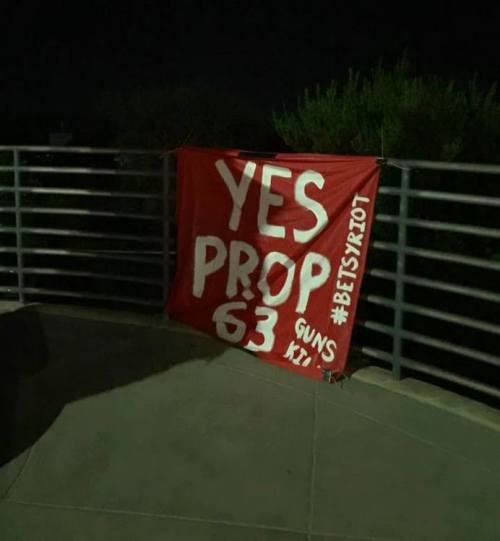 A riot of betsies took to the streets of San Diego overnight and hung up ten NRA-fucking banners, in