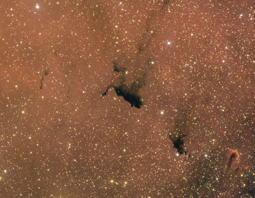 Molecular Cloud Barnard 163. Lies about 3,000 light years from Earth toward the constellation of Cep
