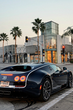 plasmatics-life:  Bugatti Veyron | (by SupercarFocus.com)