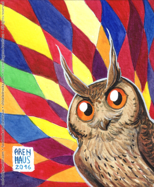 №490: Harlequin owl.