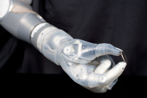 graylok: Mind-controlled prosthetic arm from Segway inventor gets FDA approval &ldquo;The arm is