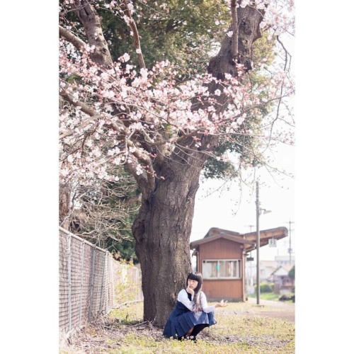 #portrait #photograph #photoshoot #japanese #japaneseview #schooluniform #girl #spring #架空荘 #kakuuso