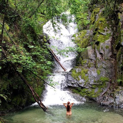 #waterfallwednesday When it&rsquo;s this green.. And the pool is that inviting, you gotta jump i
