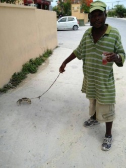 thatfunnyblog:  Just a man walking his crab.