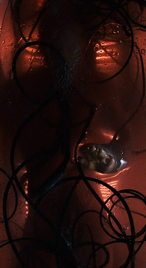 sickfuture:The Matrix