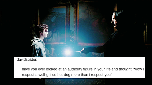 intoasylum:harry potter [part 2] | text posts