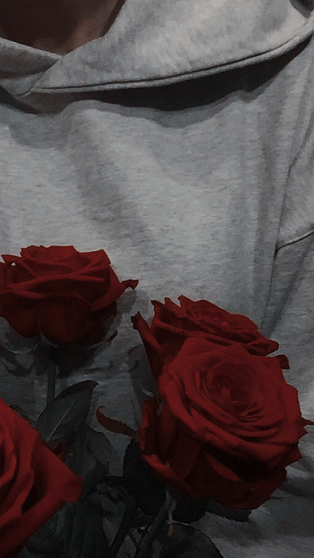 Tumblr