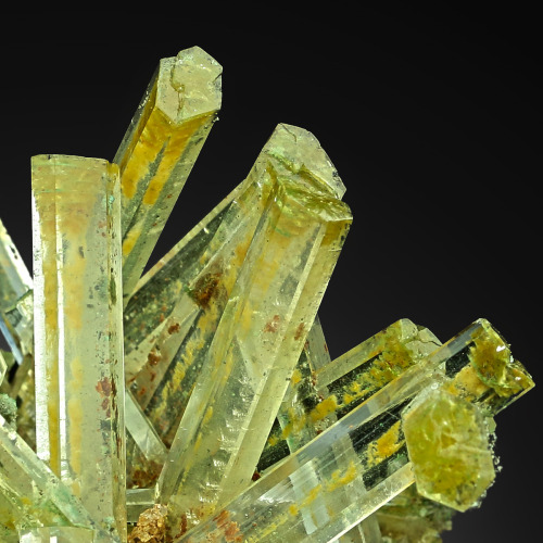 Selenite with Atacamite, Paratacamite &amp; Herbertsmithite- Lubin Mine, Lubin District, Lower Siles