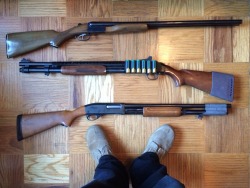 rtf-j:  My (current) 12ga shotguns. Gotta