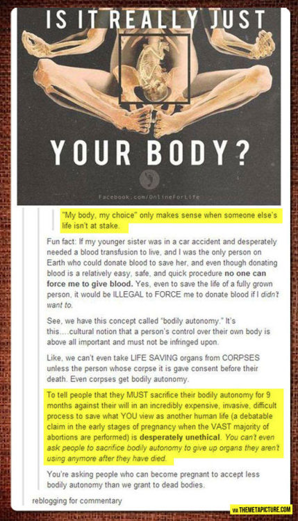 srsfunny:My Body, My Choice
