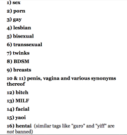 87daysbefore:  a list of 29 tags you can’t search anymore on the mobile tumblr app while i understand the need for banning 23, 25, 26, &amp;27, the rest of these seem really unnecessary? if someone wants to look at NSFW posts they should be able to. 