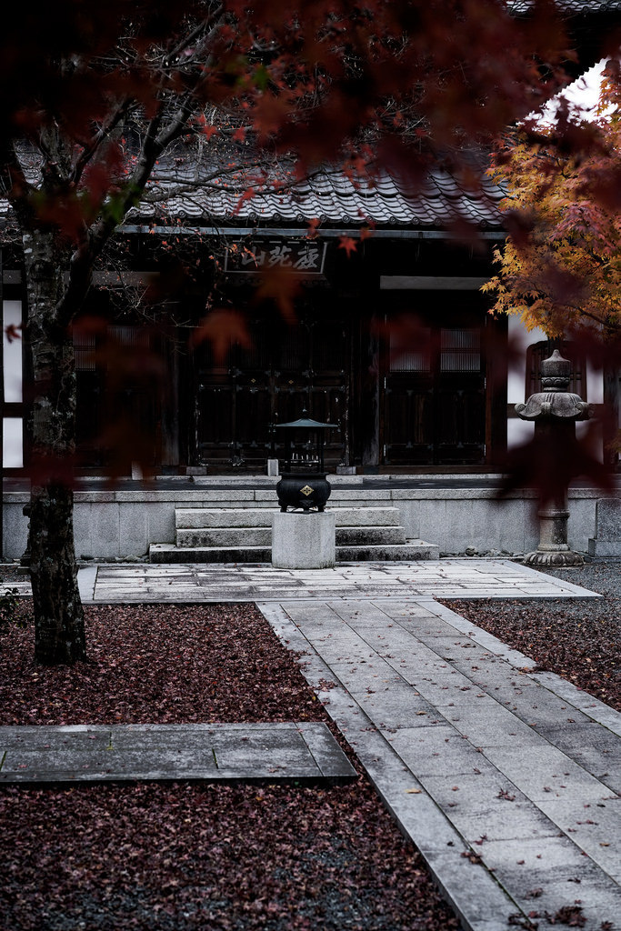 iesuuyr:Yamaguchi, Japan |    	Gansan00 	  	 						 			     