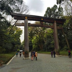 At #Meiji Shrine   #travel #Tokyo 🇯🇵 #temple 🏯🎌 (at Meiji Shrine)