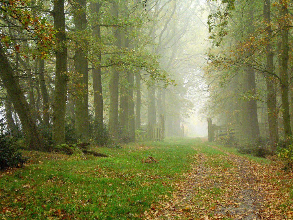allthingseurope:  Belgium (by Paul Smeets) 