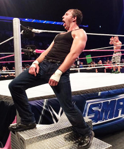 gradosgirl:  sskarekrow:  deanambrosedaily: