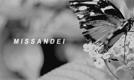 misandei: Modern Missandei aesthetic