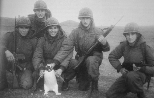 kineticpenguin:biff-donderglutes:falklandswar:Argentine soldiers and a penguin, 1982.Source: http://