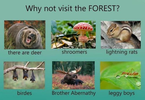 tastefullyoffensive:Tag yourself. (via yarrrow)