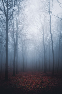 freddie-photography:  ‘Through a Blue Fog’ and ‘Light From Above’ Print Sales this week: shop.freddieardley.com Frederick Ardley Photography 