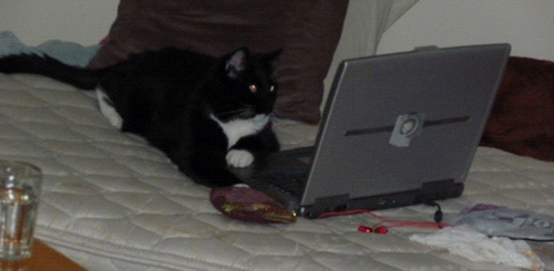 ZACK IS ON TUMBLR