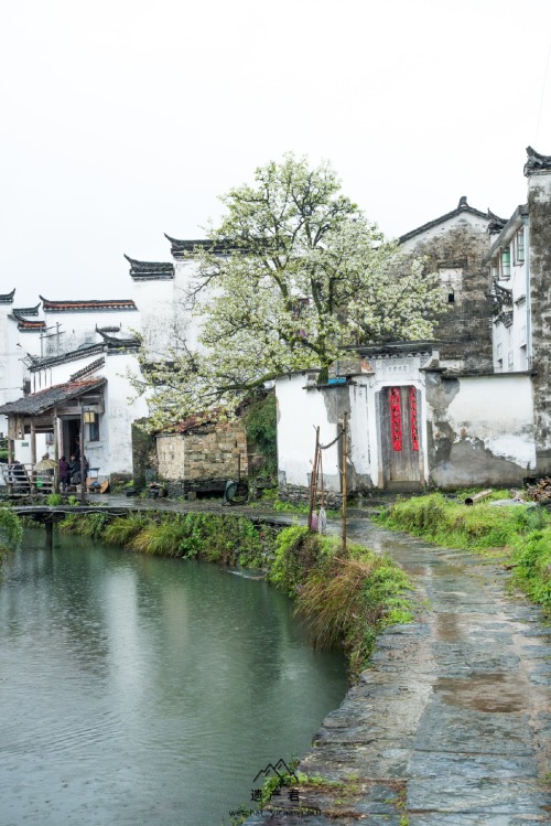 fuckyeahchinesegarden:婺源wuyuan, anhui province by 遗产君