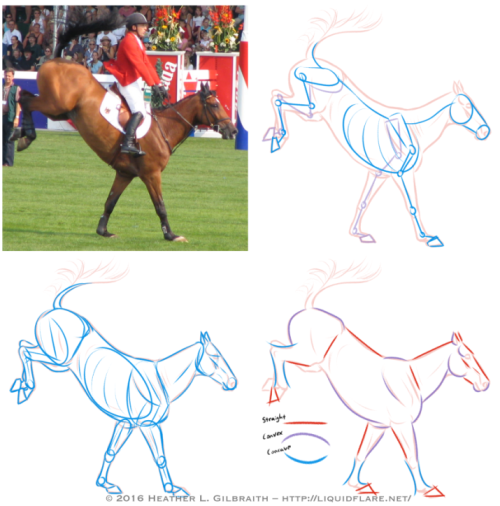 – Horse Drawing Tips –Hello, all! I thought I’d put this together to try and give people a place to 