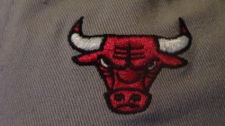  this is for aaall the Chicago bulls fans