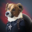 softbeanevans