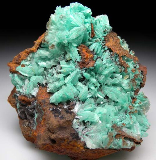 Cuprian Hemimorphite - Mina Ojuela, Mapimi, Durango, Mexico